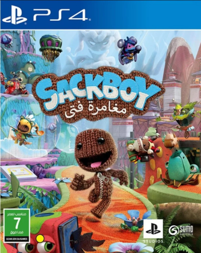 مغامرة فتى PS4