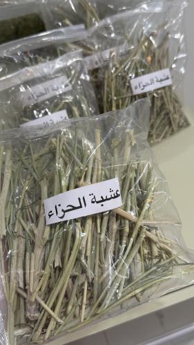 عشبة الحزاء