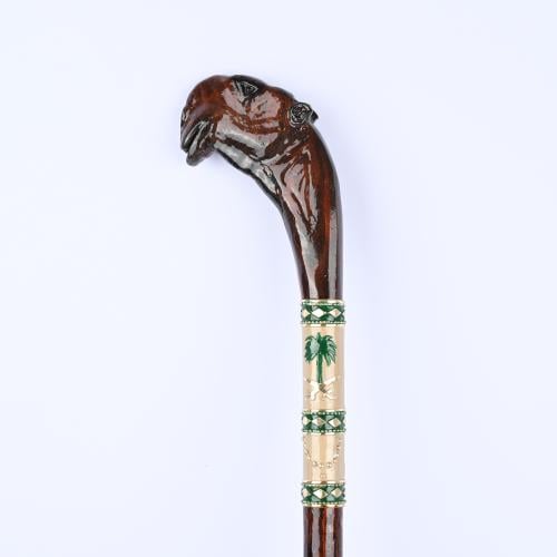 عصا برأس جمل (مجاهيم)