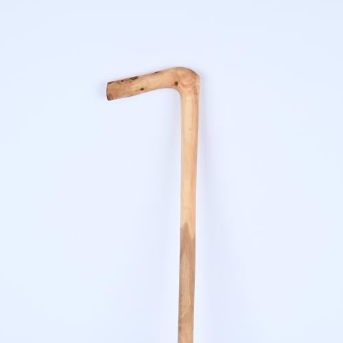 عصا عتم