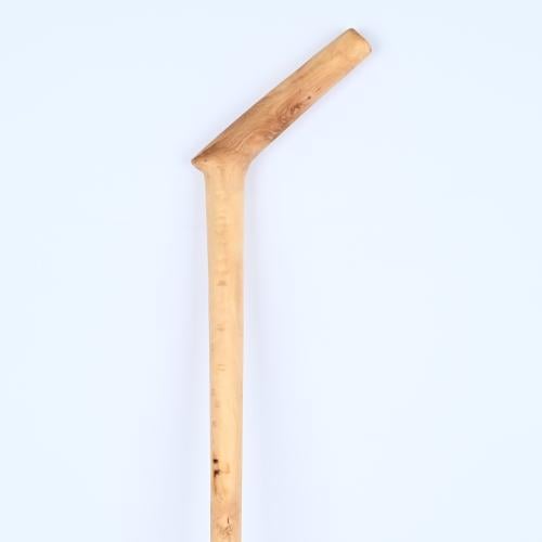 عصا عتم