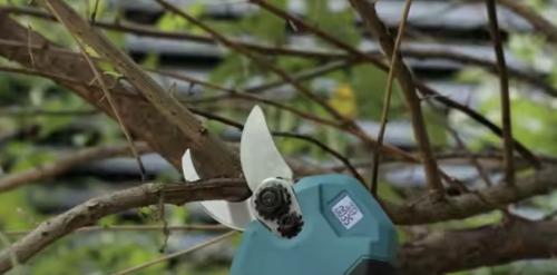 مقص شجر كهربائي بقوة 25 ملي