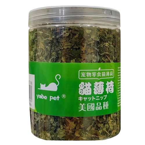 كاتنيب حجم كبير