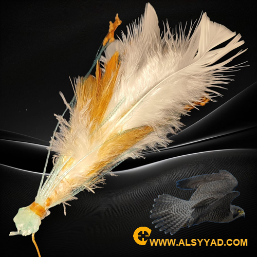 نقل 12عين خفيف الوزن الخيط برازيلي درجة اولى