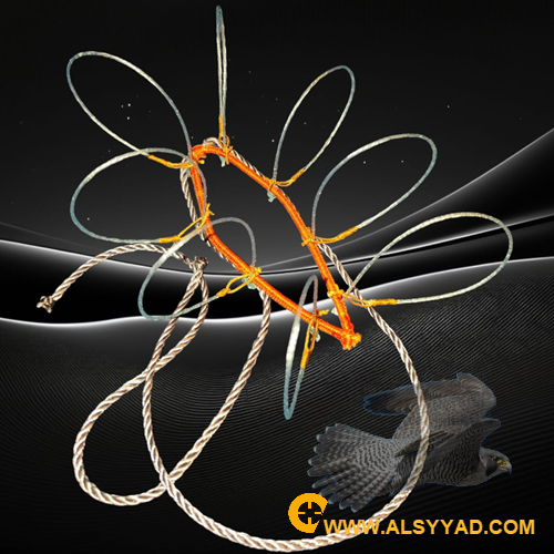 شبكة صقر مقاس حمام وقطا 8 عيون