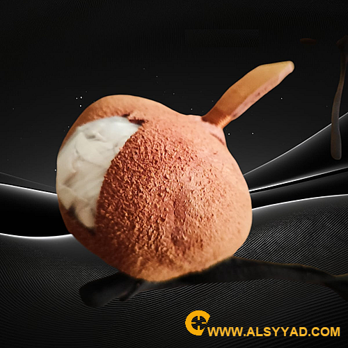 برقع صقر مقاس 3 من الجلد الطبيعي