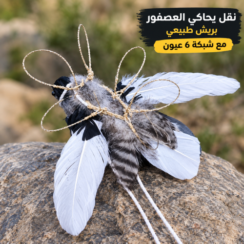 شبكة نقل على شكل عصفور