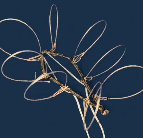 شبكة صيد الصقور 8 عيون جدل مشمع