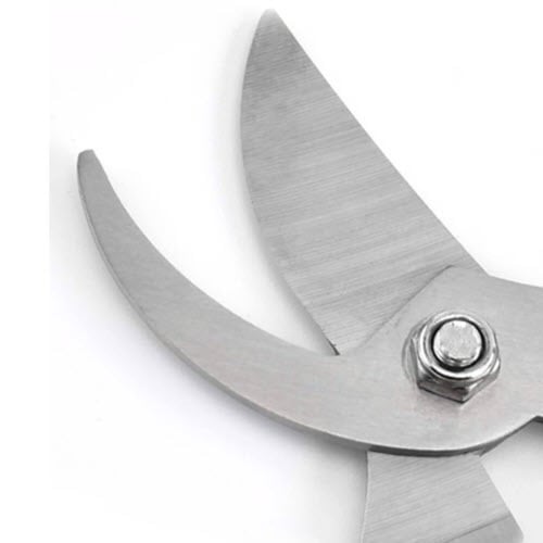 مقص تقليم الحدائق من الفولاذ