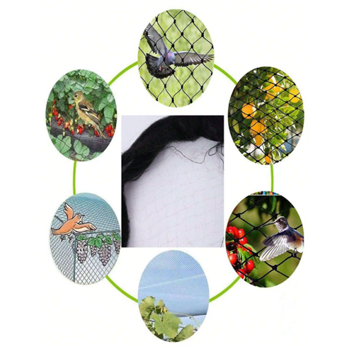 شبكة صيد طيور ومكافحتها عين صغيره