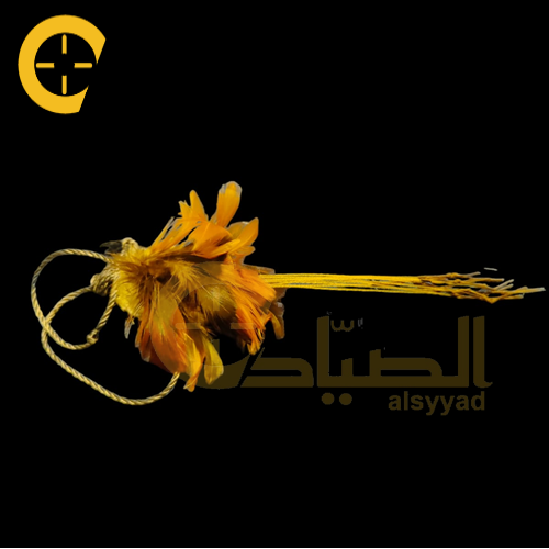 نقل 10 عيون بريش طبيعي