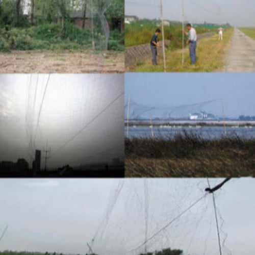 شبكة قمري نايلون صيد طيور هوائي بطول 15 متر