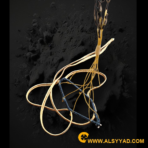 شبكة صقور مقاس حمام وقطا 8 عيون