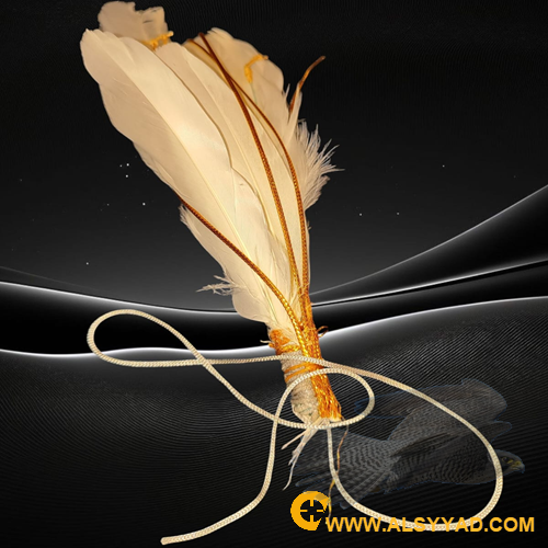 نقل 10 عيون بريش طبيعي