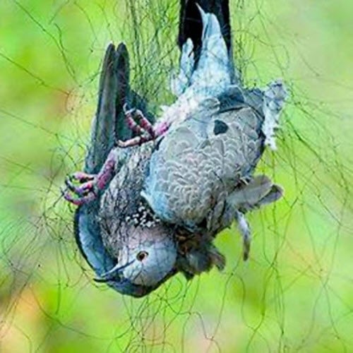 شبكة قمري نايلون صيد طيور هوائي بطول 15 متر