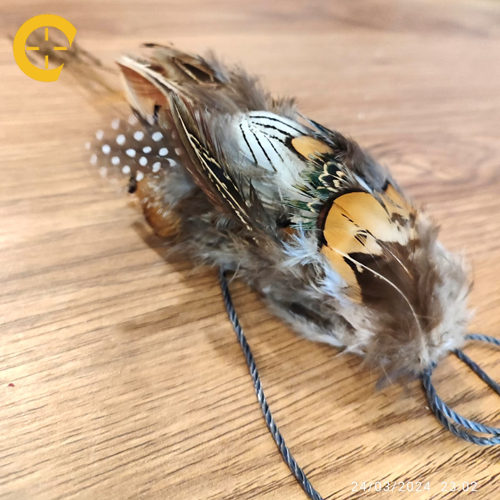 نقل 10 عيون بريش طبيعي الوان زاهيه