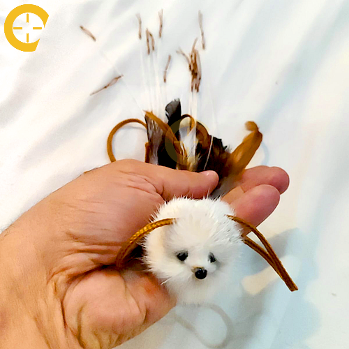 نقل 14 عين مدمج ريش وفرو