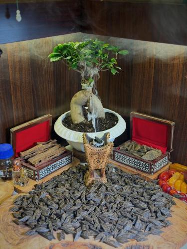 بخور تايقر (فاخر) ضمان ذهبي