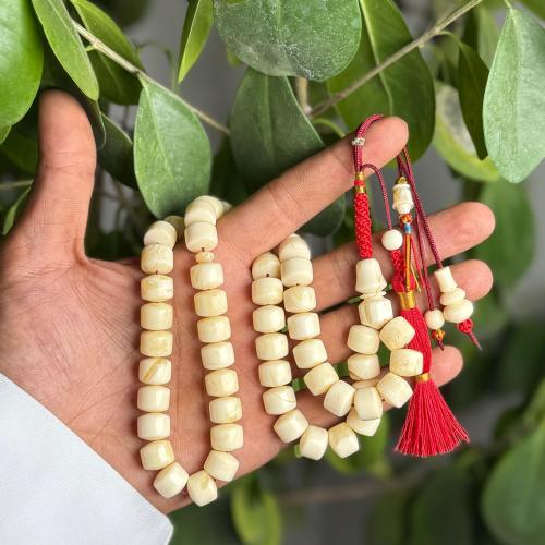 مسباح مستكة