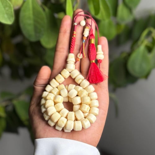 مسباح مستكة