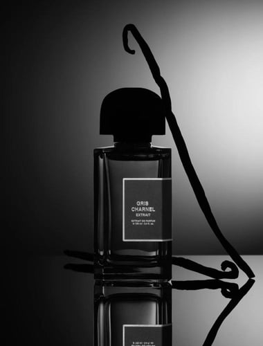 عطر جريس شارنيل اكسترايت من بي دي كي دي بارفيوم 10...