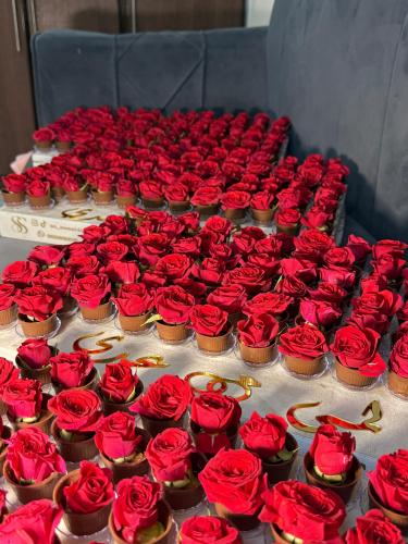 Package of the Zaffa, 8 trays