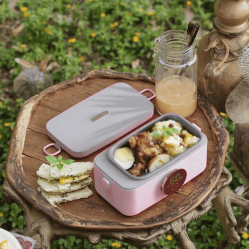 صندوق تبريد وتسخين محمول ذكي