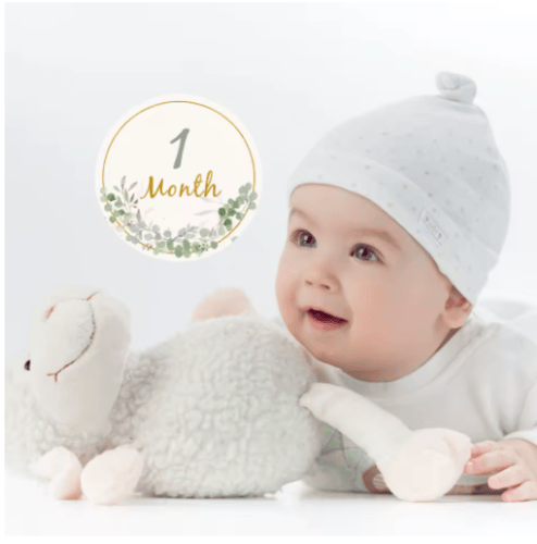 بطاقات شهرية لتصوير الطفل – 12 قطعة لعمر 1-12 شهر