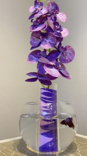 فازة سمكة مع الرمل الملون والاوركيد الصناعي