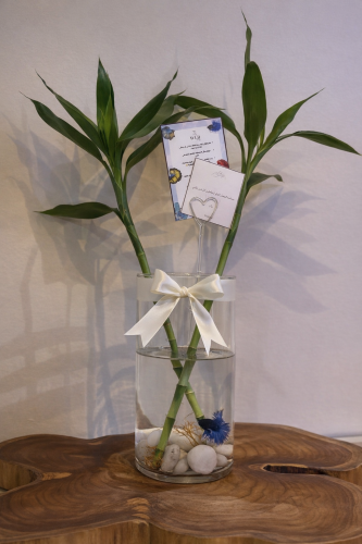 هدية انيقه حوض سمكه مع بامبو