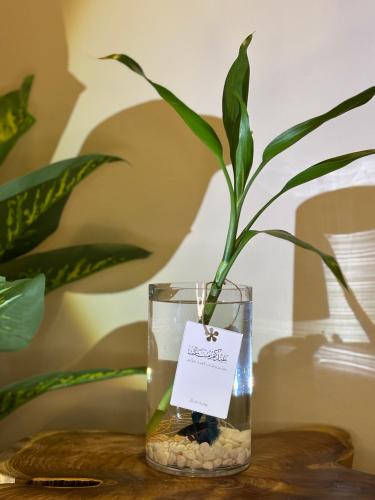 فازة انيقه مع سمكه وبامبو