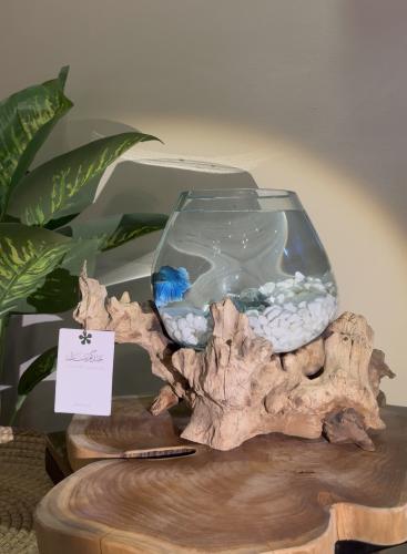 فازة خشب طبيعي مع سمكه