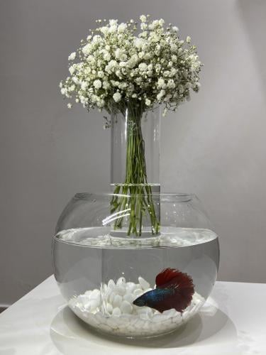 حوض سمكة مع ورد الجبسو