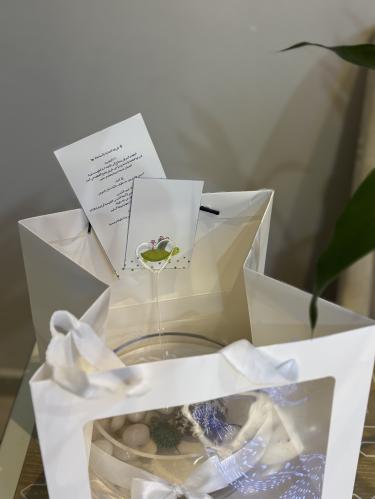 هدية بوكس سلحفاة