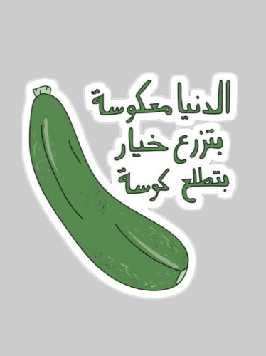 دنيا معكوسة بتزرع خيار تطلع كوسة