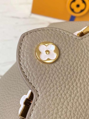 لوي فيتون كابسين ميني مقاس 21cm