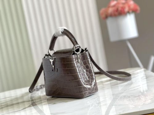 ‎لوي فيتون كابسين ميني مقاس cm 21