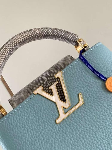 لوي فيتون كابسين ميني مقاس 21cm