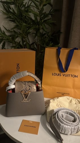 لوي فيتون كابسين ميني 21