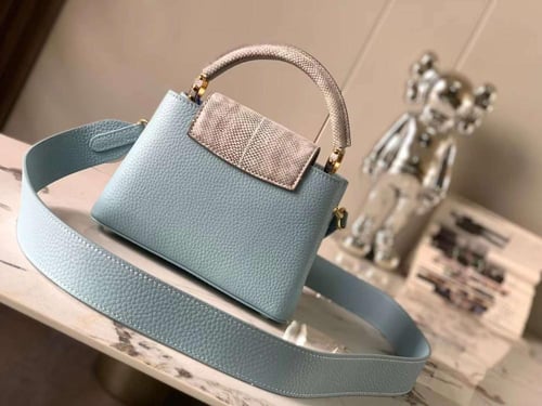 لوي فيتون كابسين ميني مقاس 21cm