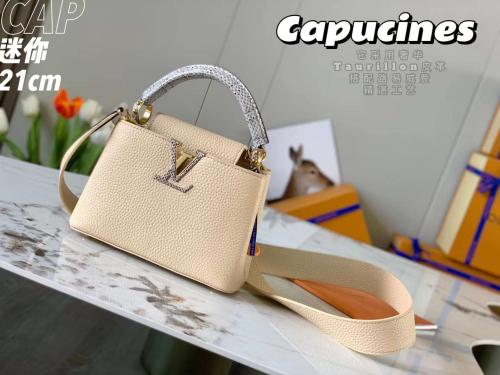 لوي فيتون ميني كاسين مقاس 21cm