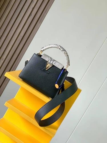 لوي فيتون كابسين ميني مقاس 21cm