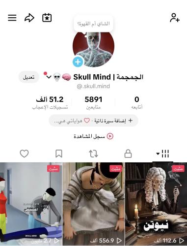حساب تيك توك 5.8K