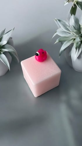 Maldives Soap/ صابونة المالديفز