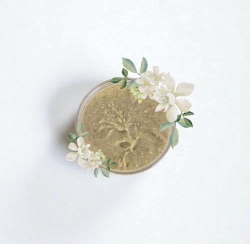 افراح جازان/ مقشر للجسم