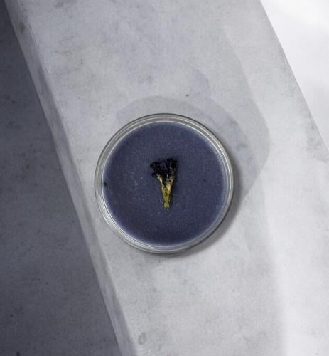 مقشر الماتشا الزرقاء/ Blue Macha