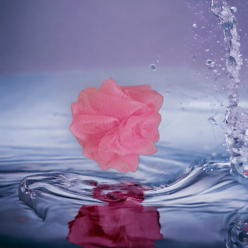 Maldives/ المالديفز