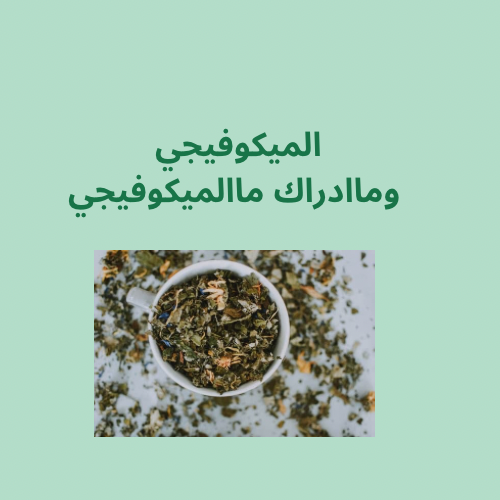 نظام غذائي لنزول الوزن بمساعدة الميكوفيجي