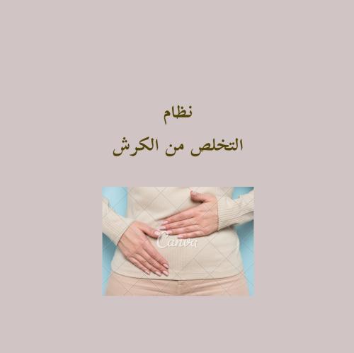 نظام التخلص من الكرش