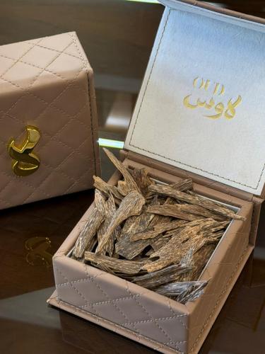 سومطري ميني